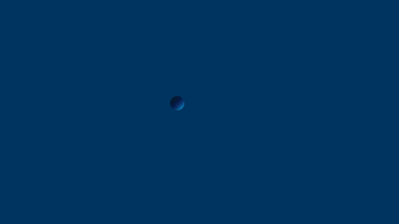 狗子28